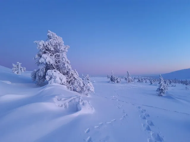 Saamelaismusiikki ammentaa voimaansa Lapin maisemista.